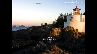KOREAN BJ 2017013101