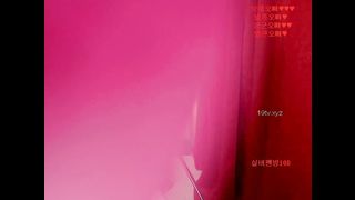 KOREAN WEBCAM 2017022602