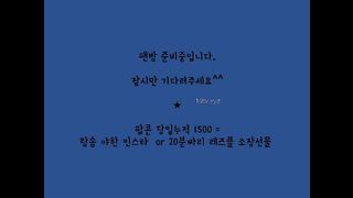 KOREAN WEBCAM 2017022803 Flo0928 part 2