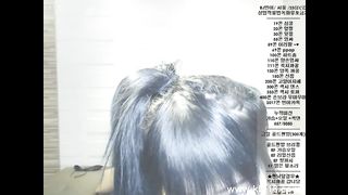KOREAN WEBCAM 2017030307