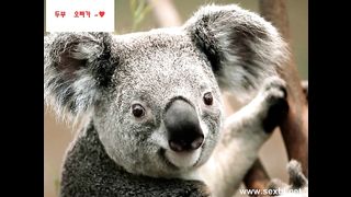 KOREAN BJ 2017062403 Couples part 1