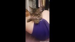 KOREAN BJ 2017071803