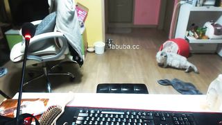 KOREAN BJ 2017072504