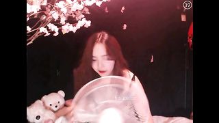 KOREAN BJ 2017081605