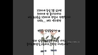 KOREAN BJ 2017082108 Flo0928 part 2
