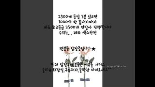 KOREAN BJ 2017082108 Flo0928 part 2