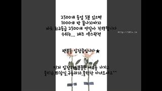 KOREAN BJ 2017082108 Flo0928 part 2