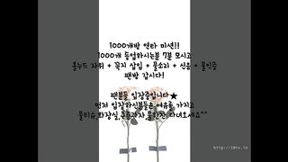 KOREAN BJ 2017083007 Flo0928 part 2