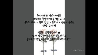 KOREAN BJ 2017083007 Flo0928 part 2