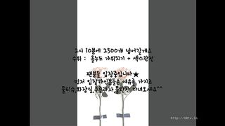 KOREAN BJ 2017083007 Flo0928 part 3