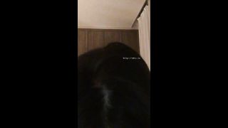 KOREAN BJ 2017101003 Raindrop