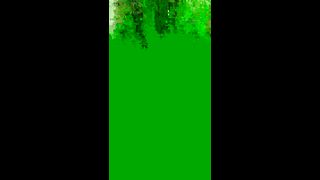 KOREAN BJ 2017101005 tlsfkdml123 part 2