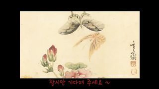 KOREAN BJ 2017101811