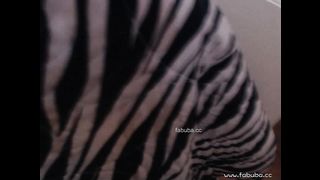 KOREAN BJ 2017102903 Tjsgml