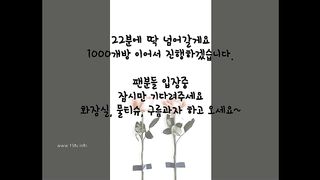 KOREAN BJ 2017110102 Flo0928