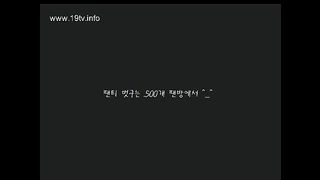 KOREAN BJ 2017111502