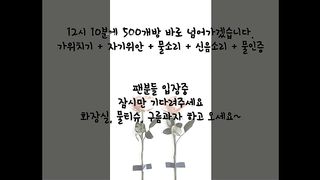 KOREAN BJ 2017111508 Flo0928