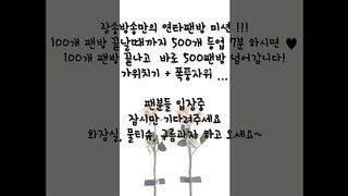 KOREAN BJ 2017111508 Flo0928