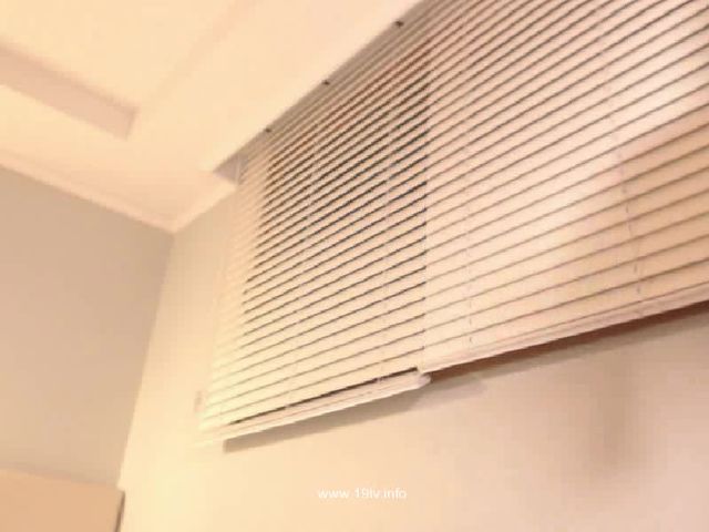 KOREAN BJ 2017112002