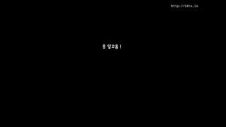KOREAN BJ 2017112506 Neat