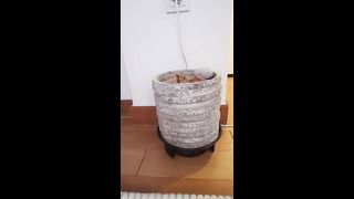 KOREAN BJ 2017113004