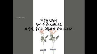 KOREAN BJ 2017120806 Flo0928