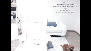KOREAN BJ 2018010607