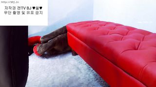 KOREAN BJ 2018031306