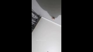 KOREAN BJ 2018032002