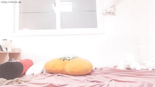 KOREAN BJ 2018061103