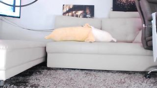 KOREAN BJ 2018061108 Neat part 2