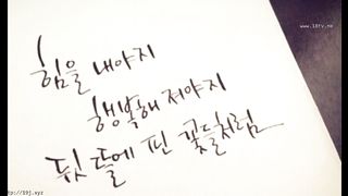 KOREAN BJ 2018080603