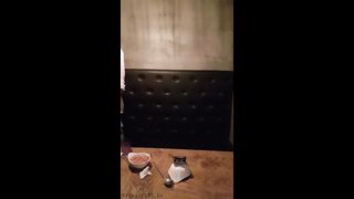 KOREAN BJ 2018082205