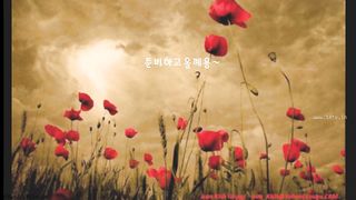 KOREAN BJ 2018082408