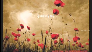 KOREAN BJ 2018082408