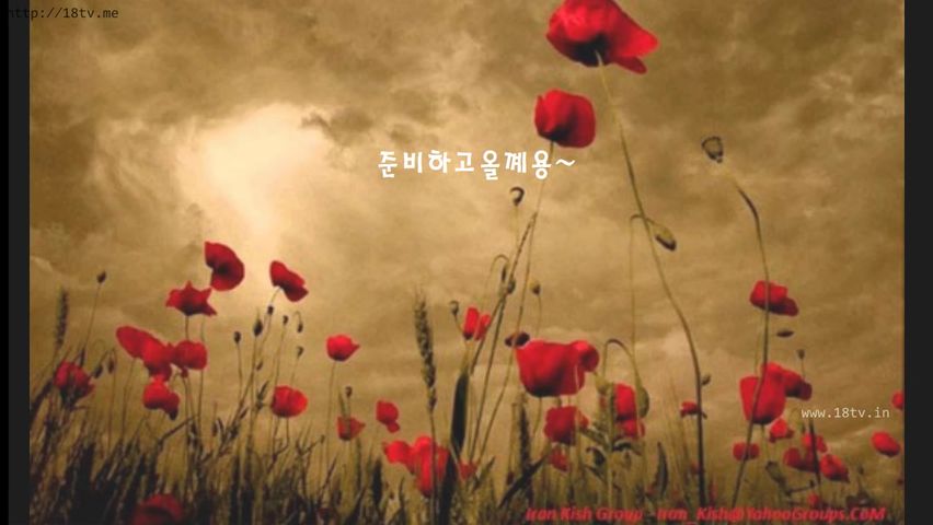 KOREAN BJ 2018082408